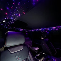 STARLIT CEILINGS